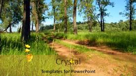  Presentation with road yellow - 