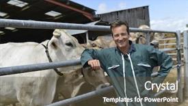  Presentation with five business people standing together and smiling - Presentation consisting of smart arriculture - portrait of smiling farmer standing background and a tawny brown colored foreground
