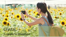  Presentation with farm machines in agriculture - Cool new PPT theme with smart arriculture - woman taking photo on sunflower backdrop and a yellow colored foreground