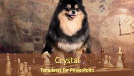  Presentation with smart - Amazing PPT layouts having smart-dog-breed-spitz-plays backdrop and a tawny brown colored foreground