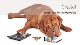  Presentation with credit card - Cool new presentation theme with smart electronics - not enough money to pay backdrop and a lemonade colored foreground