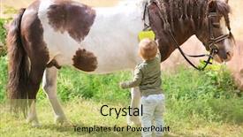  Presentation with smart farm - PPT layouts consisting of smart village - cute little boy with horse background and a  colored foreground