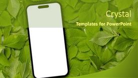  Presentation with nature design - Presentation consisting of smartphone-with-blank-screen background and a tawny brown colored foreground