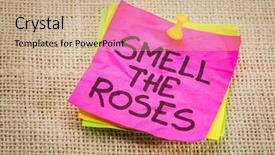  Presentation with smell - Presentation having smell the roses - inspirational reminder background and a coral colored foreground