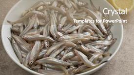  Presentation with fishes - PPT theme with smelting - dish with fresh raw smelt background and a coral colored foreground