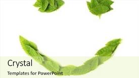  Presentation with leaves - PPT theme enhanced with smiley face made of leaves background and a blonde colored foreground