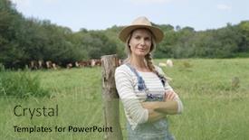  Presentation with cattle - Presentation theme consisting of smiling breeder woman standing in field cattle in background background and a seafoam green colored foreground
