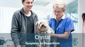  Presentation with metabolic syndrome doctor examining - Audience pleasing slide set consisting of smiling female doctor examining dog backdrop and a ocean colored foreground