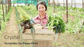  Presentation with farm - 