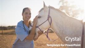  Presentation with portrait of a horse - PPT theme with smiling female vet stroking horse background and a coral colored foreground