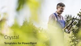  Presentation with nursery plant - Audience pleasing PPT layouts consisting of smiling-gardener-trimming-tree-branches backdrop and a yellow colored foreground