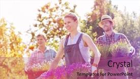  Presentation with flower pots - Slide set with smiling gardeners carrying crates with flower pots at plant nursery background and a coral colored foreground