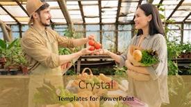  Presentation with grocery - Slide set having smiling-handsome-young-bearded-farmer background and a yellow colored foreground