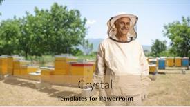  Presentation with bee - Presentation design consisting of smiling-male-bee-keeper background and a coral colored foreground