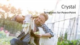  Presentation with goat farm - Colorful theme enhanced with smiling mid adult farmer feeding backdrop and a white colored foreground