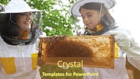  Presentation with female - PPT theme with smiling-senior-female-beekeeper and a tawny brown colored foreground