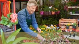  Presentation with caring - PPT layouts with smiling-senior-gardener-caring background and a gold colored foreground