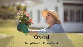  Presentation with plant - PPT theme with smiling senior woman holding sapling background and a yellow colored foreground