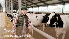  Presentation with livestock - Beautiful presentation featuring smiling-teenage-boy-in-casualwear backdrop and a coral colored foreground