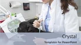  Presentation with vet - PPT layouts with smiling vet giving vaccine background and a light blue colored foreground