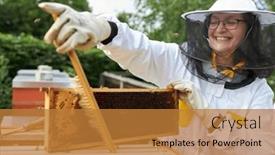  Presentation with bee hive - PPT theme consisting of smiling-woman-as-beekeeper-using background and a gold colored foreground