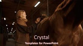  Presentation with stallion - Presentation theme with smiling-woman-cleaning-horseback background and a wine colored foreground