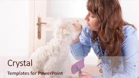 Presentation with grooming dog - Slide set enhanced with smiling woman grooming a dog background and a lemonade colored foreground