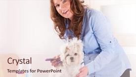  Presentation with grooming dog - Beautiful slide set featuring smiling woman grooming a dog backdrop and a lemonade colored foreground