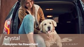 Presentation with golden car - Audience pleasing theme consisting of smiling-woman-with-golden-retriever backdrop and a coral colored foreground