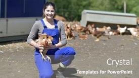  Presentation with hen - Beautiful presentation theme featuring smiling-young-farmer-holding-hen backdrop and a gray colored foreground