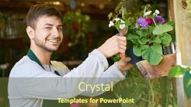  Presentation with caring - PPT theme with smiling-young-florist-caring background and a tawny brown colored foreground