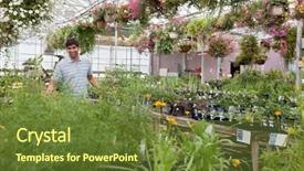  Presentation with walking young wild jaguar - PPT theme featuring plant nursery - smiling young man walking background and a tawny brown colored foreground