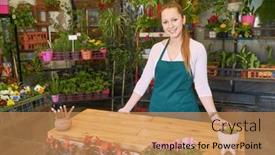  Presentation with nursery - 