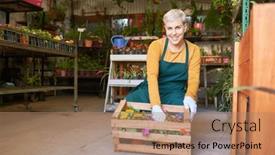  Presentation with nursery - 