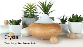  Presentation with diffuser - Slides featuring smoke inhalation - aroma oil diffuser and plants background and a coral colored foreground