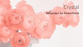  Presentation with light pink - Slides with smoke-soft-beige-pink-anemone background and a lemonade colored foreground