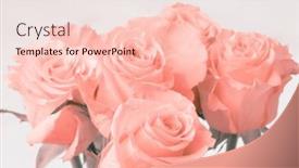  Presentation with pink roses - Slides enhanced with smoke-soft-flower-bouquet-background background and a lemonade colored foreground