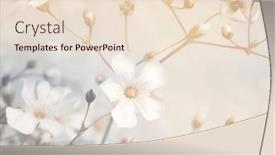  Presentation with fog - Presentation consisting of smoke-soft-focus-flower-twig background and a  colored foreground