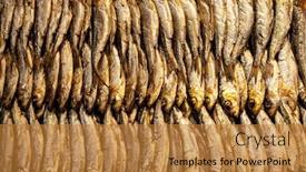  Presentation with salak - Colorful slide set enhanced with smoked baltic herring the fish of gold salak backdrop and a gold colored foreground