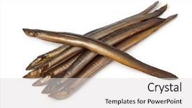  Presentation with group - Theme consisting of smoked eels on white background background and a  colored foreground