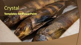  Presentation with craft - Amazing theme having smoked-fish-in-craft-paper backdrop and a tawny brown colored foreground
