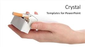  Presentation with cigarettes - Amazing presentation design having yellow tulips against the blue sky backdrop and a ocean colored foreground