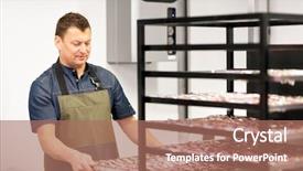  Presentation with fish people - Slide deck having smoking tray at fish shop background and a  colored foreground