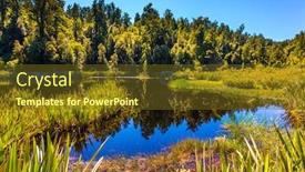  Presentation with forests - Colorful slide set enhanced with smooth-mirror-surface backdrop and a tawny brown colored foreground