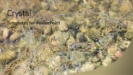  Presentation with crisp - Colorful PPT theme enhanced with smooth stone under crisp define backdrop and a coral colored foreground