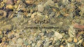  Presentation with crisp - Cool new presentation with smooth stone under crisp define backdrop and a coral colored foreground