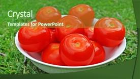  Presentation with tomato ketchup single red - Slide set having smoothie store - beautiful ripe red tomatoes background and a tawny brown colored foreground