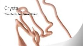  Presentation with foundation - 