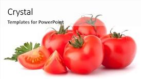  Presentation with tomato - Presentation theme with snack food - tomato isolated on white background background and a white colored foreground