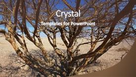  Presentation with journey - PPT theme with  background and a  colored foreground